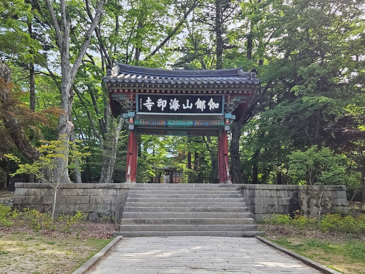 海印寺テンプルステイ