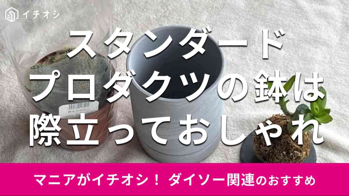 スタンダードプロダクツの「鉢」はおしゃれでスタイリッシュ！ 観葉植物も一緒に買える
