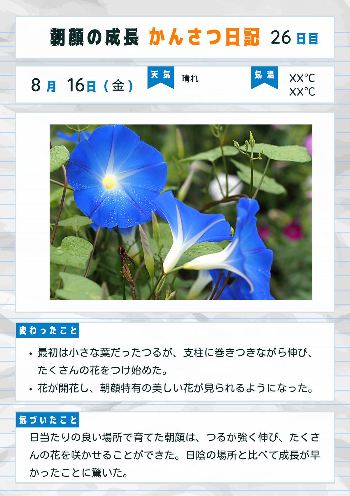 自由研究のまとめのサンプル(出所:Adobe Express アンバサダー北沢直樹さん)