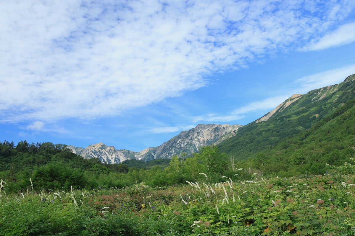 栂池自然園