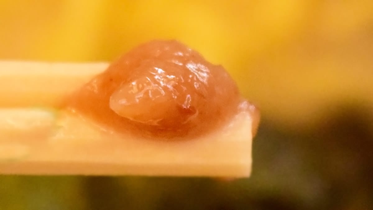練り梅はパンチのきいた酸味が舌をついてきますので、単品でいただくとツーンとします。