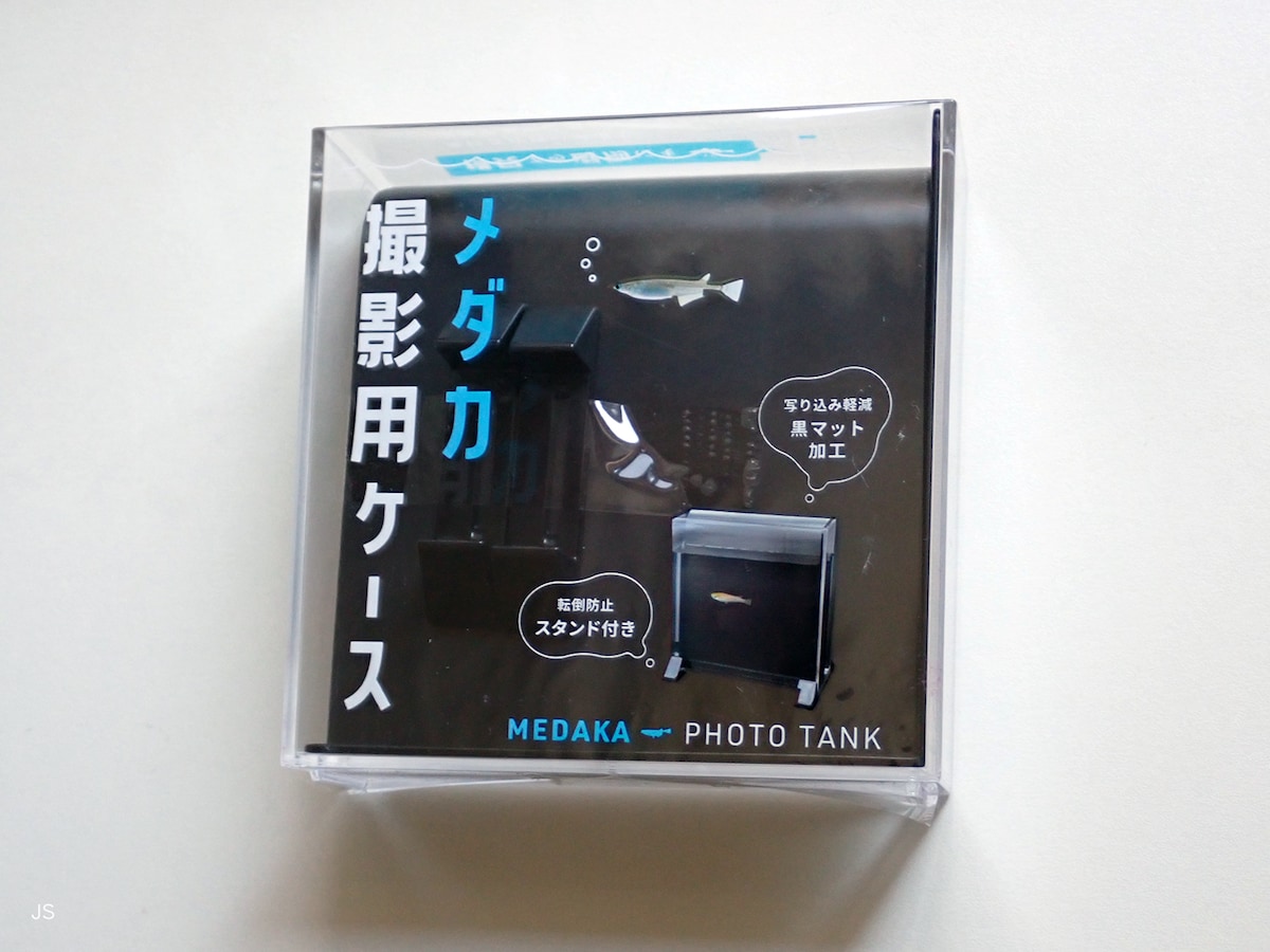 メダカの撮影