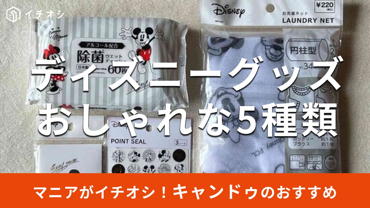 100均キャンドゥ「ディズニーグッズ」おしゃれ＆かわいい5種類を比較！売り場は？