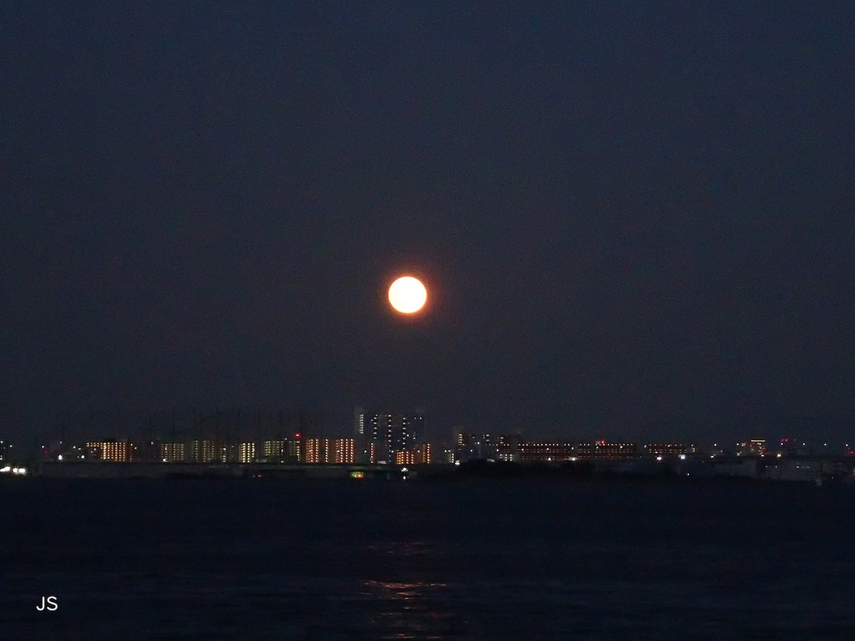 月の撮影