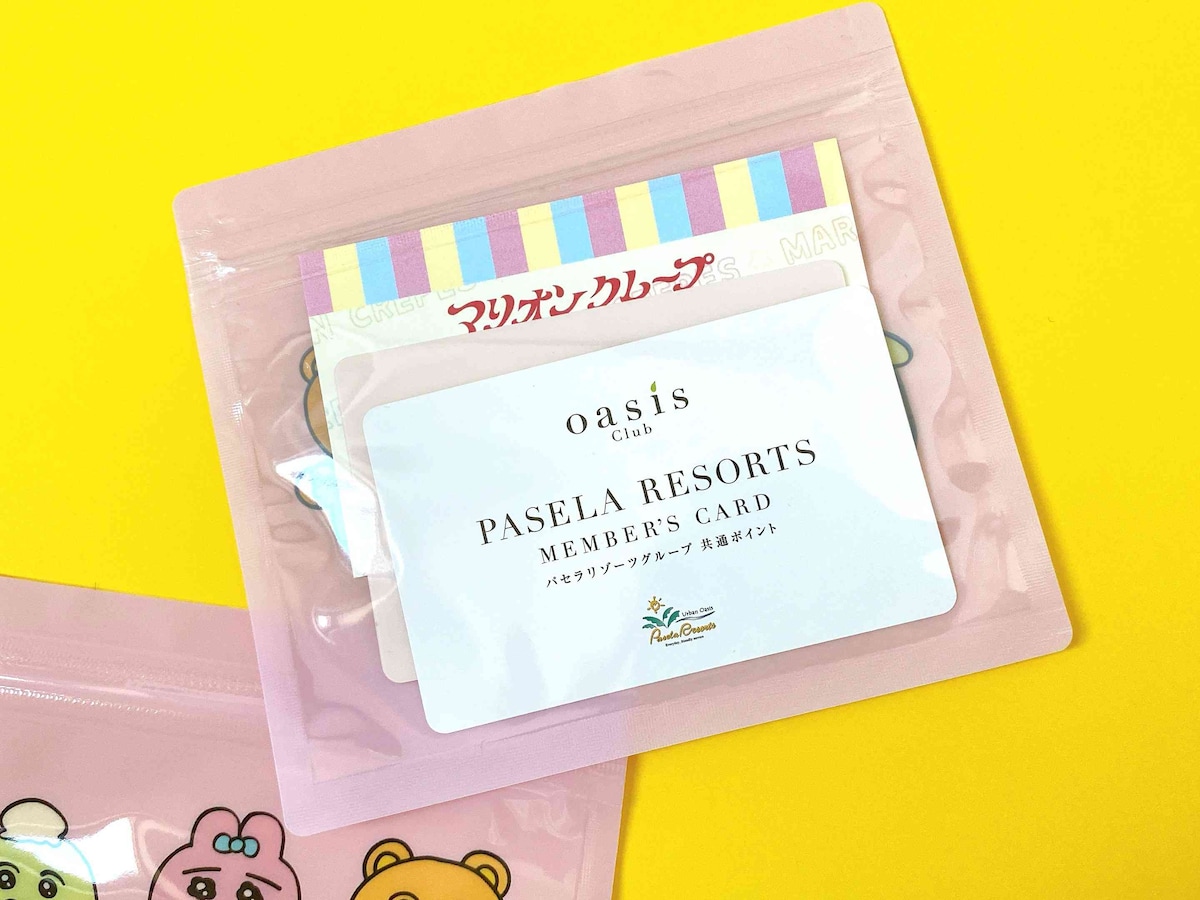 ポイントカードをすっと入れられるサイズ。複数枚入れても問題なし