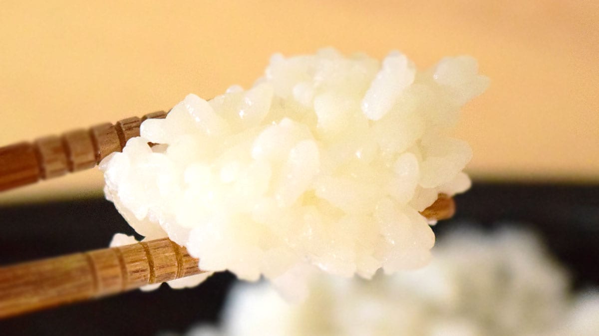 ごはんはごく普通の味わい。