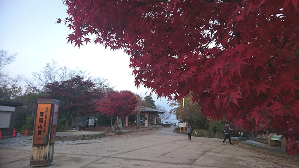 高尾山／山頂の紅葉
