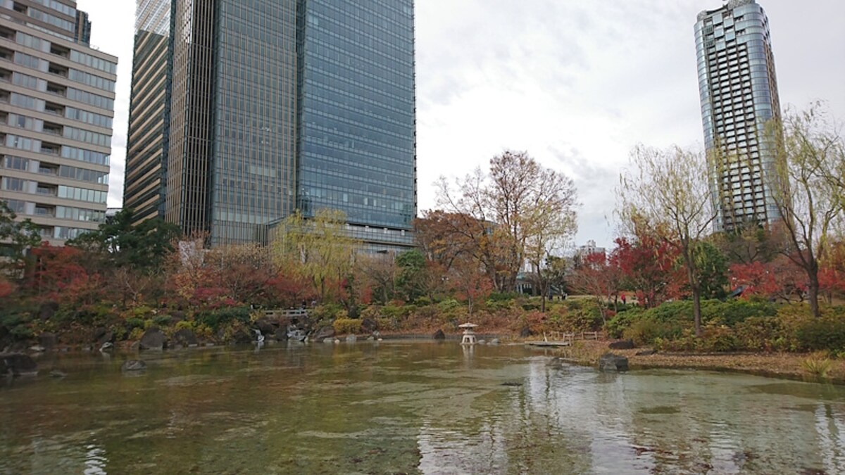 檜町公園の紅葉（2）