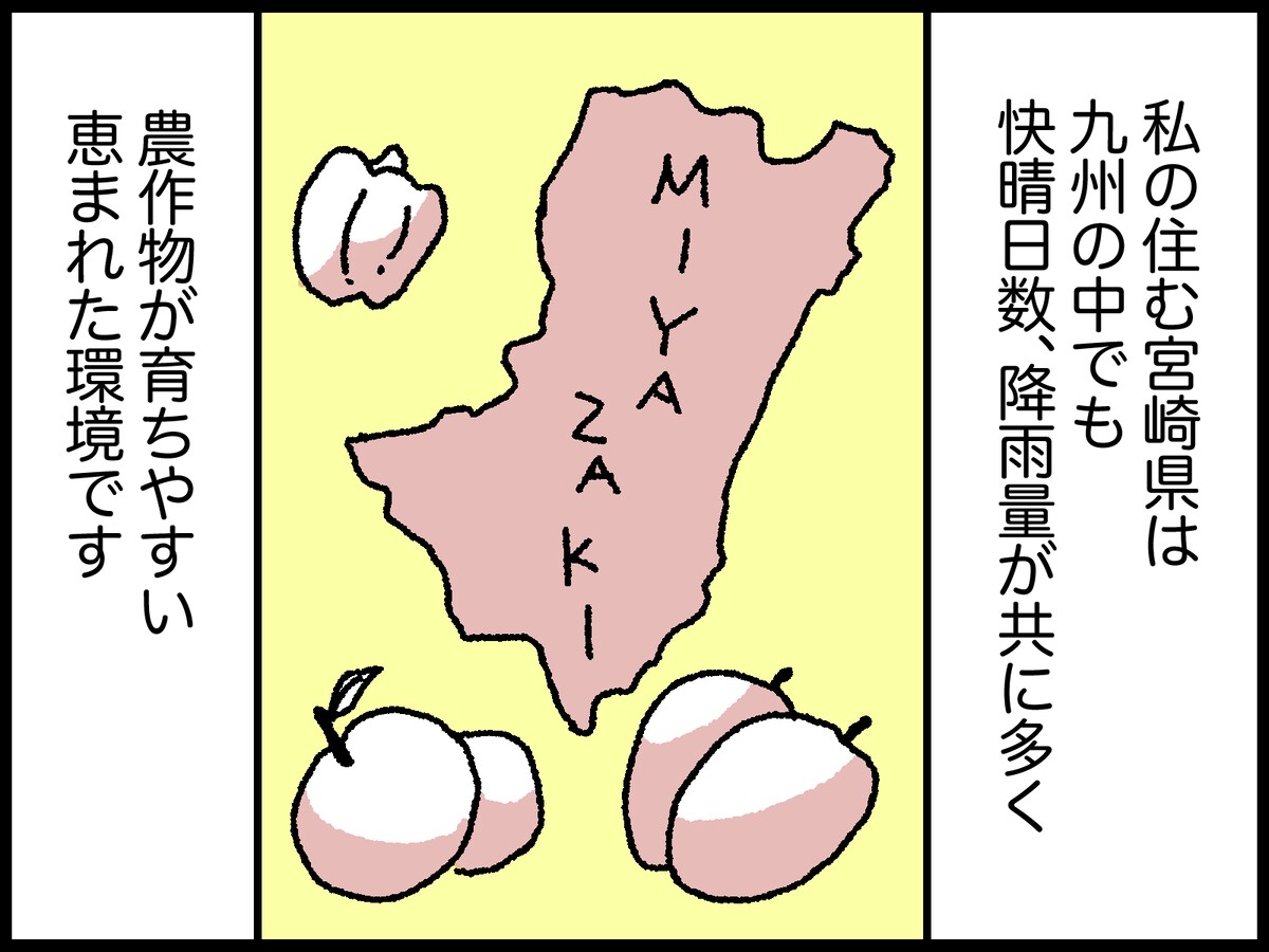 79歳女性のリアルな年金事情