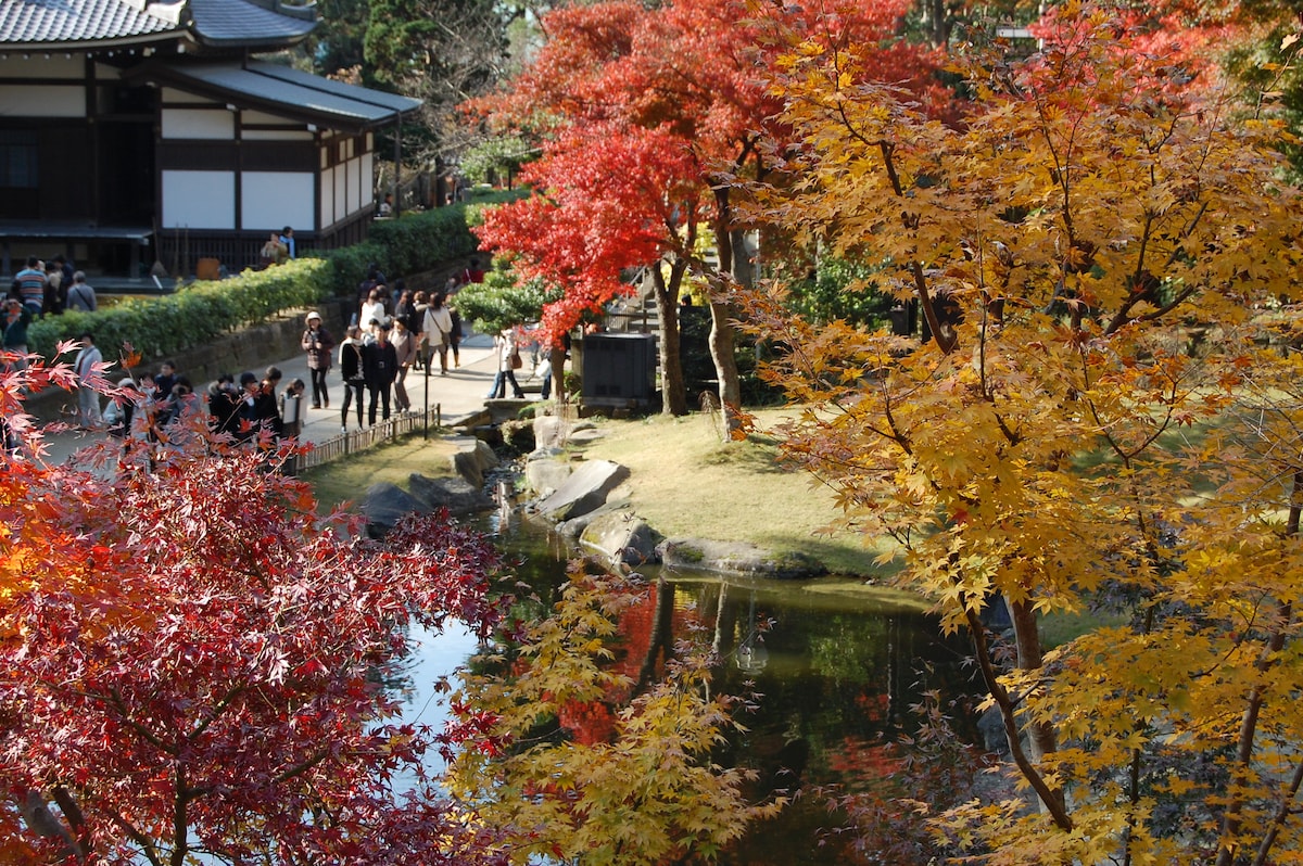円覚寺境内の妙香池付近の紅葉