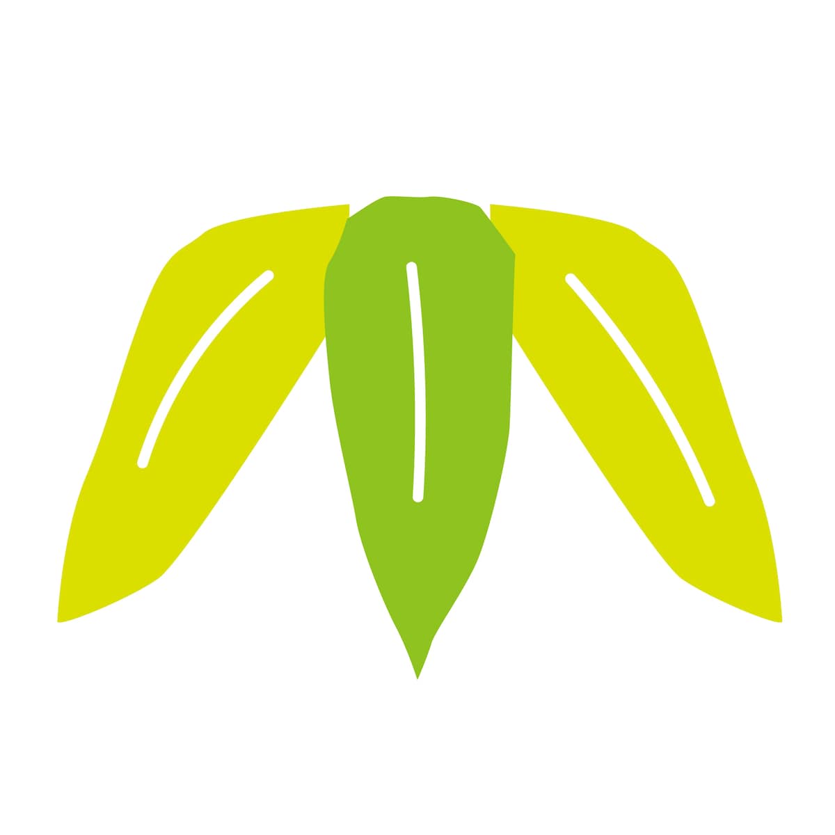 竹のイラスト