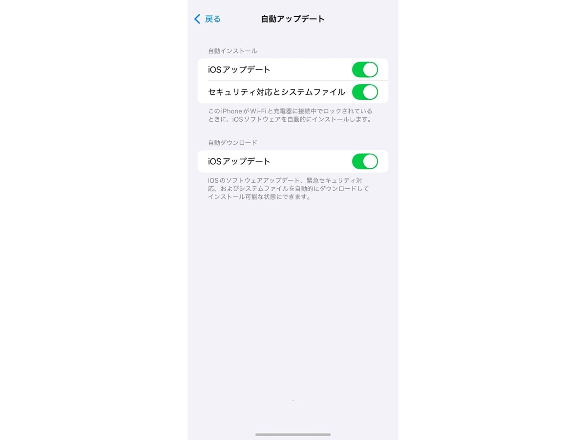 「自動アップデート」の項目をオンにする