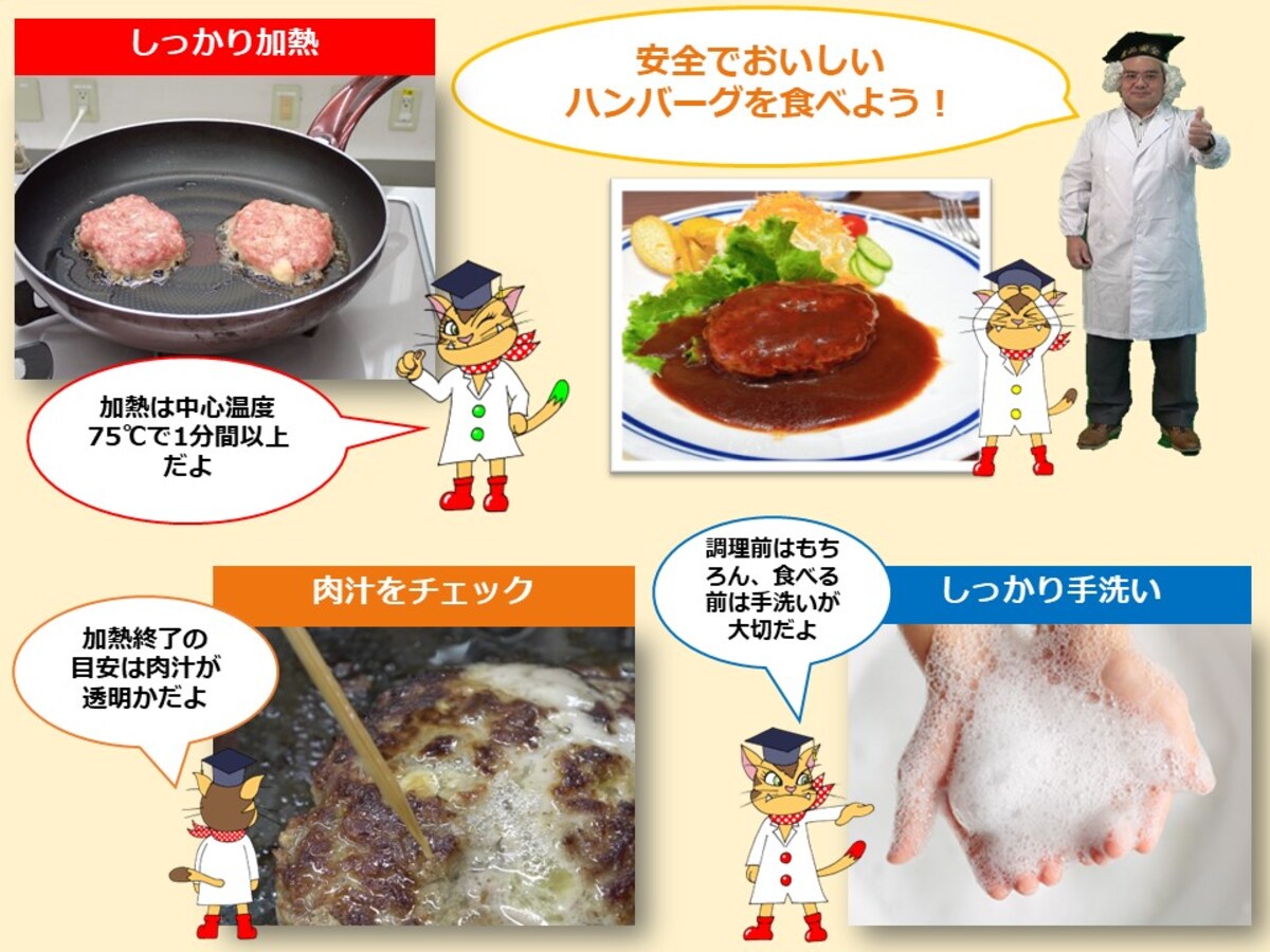安全でおいしいハンバーグを作るポイント