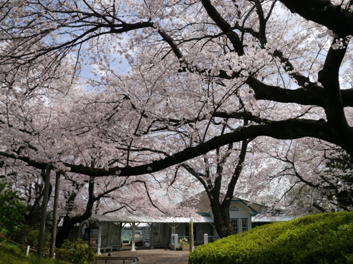 山手公園の管理事務所として利用されている「山手68番館」（2014年4月1日撮影）