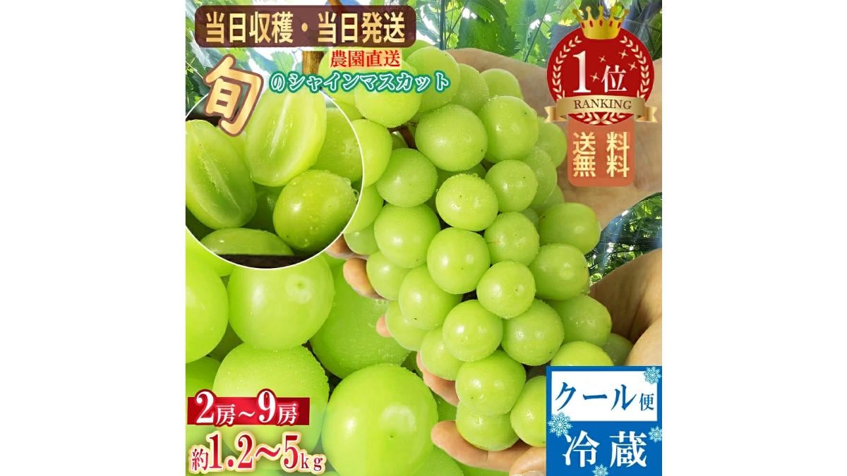 画像出典:楽天市場