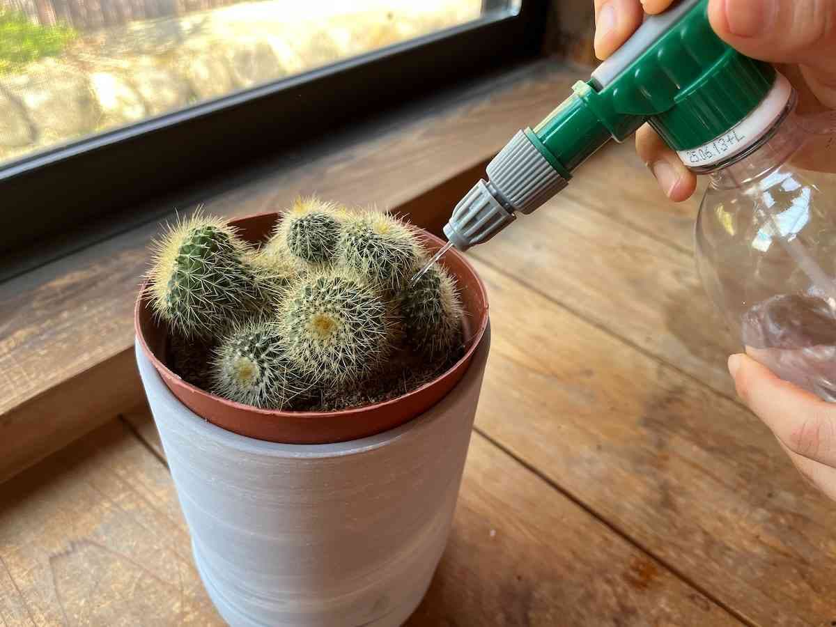 細い水が出てくる