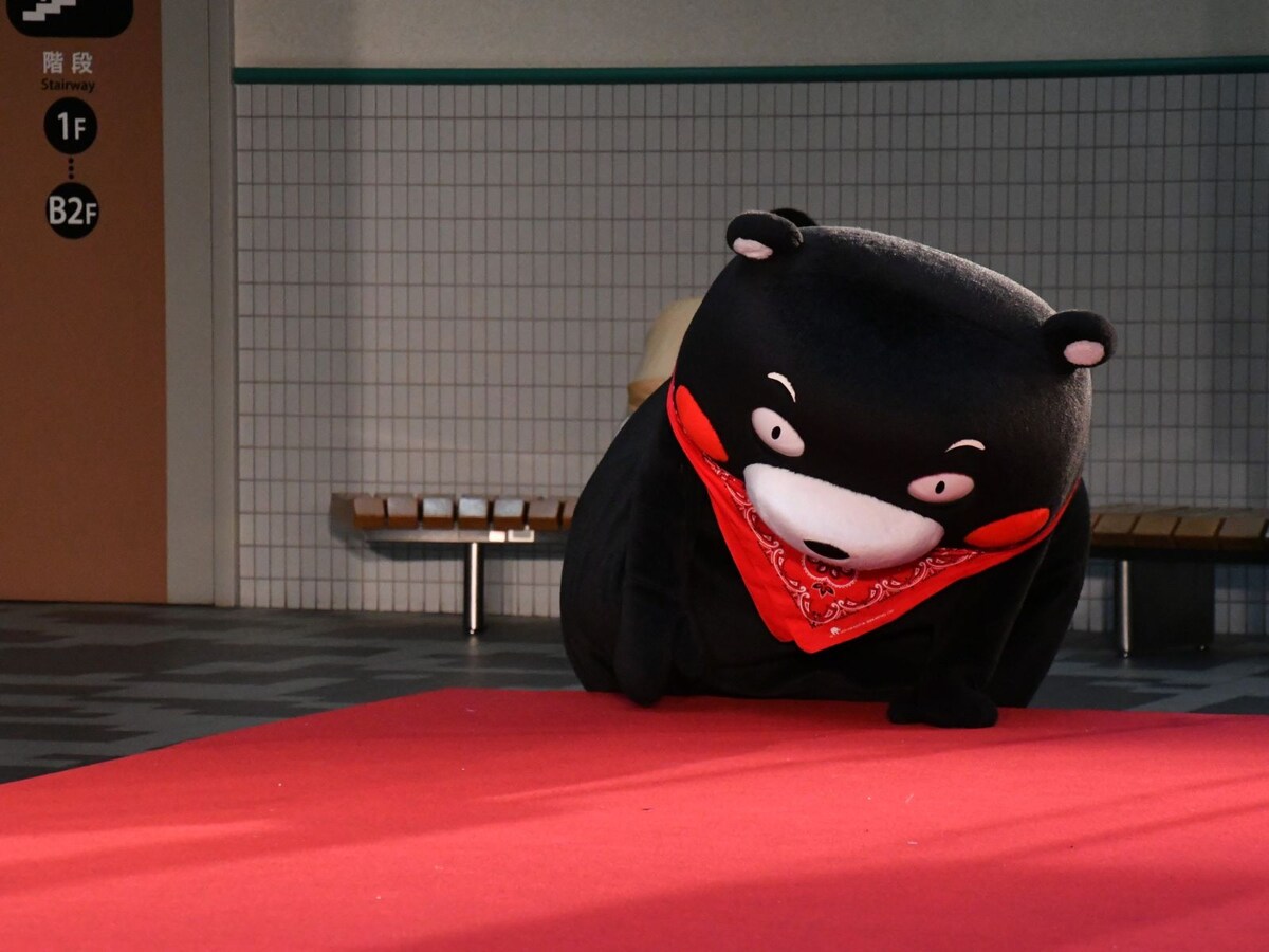 段差がつらいお年ごろ？＝3月8日、東京都文京区