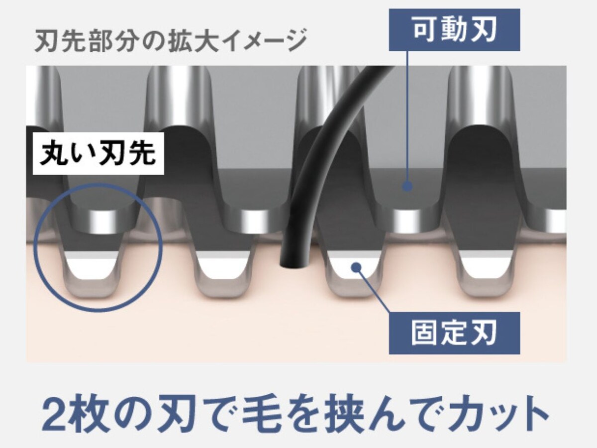 フェリエ