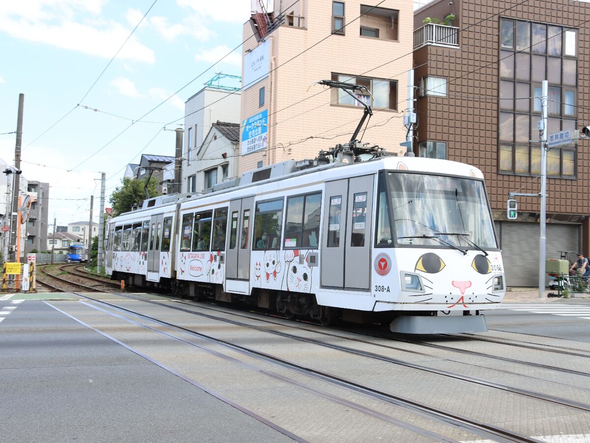 招き猫電車