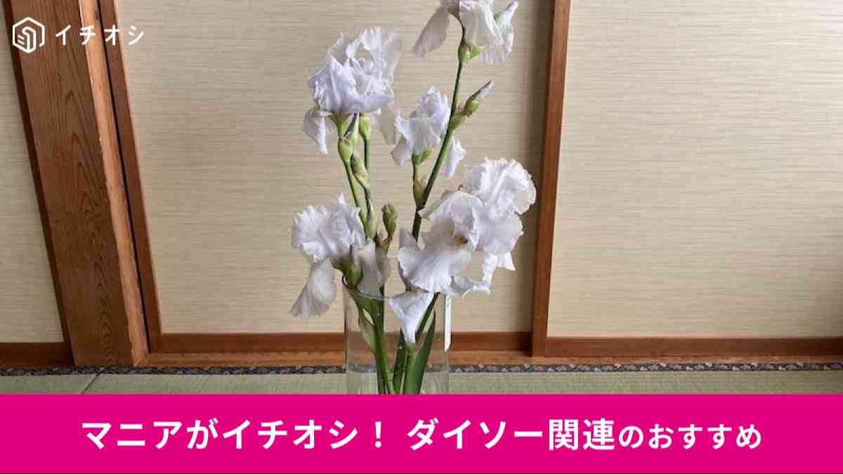 ダイソーの「割れにくい花瓶」