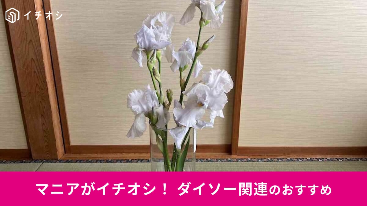 【ダイソー】500円「フラワースタンド」は売ってる？「割れにくい花瓶」レビュー