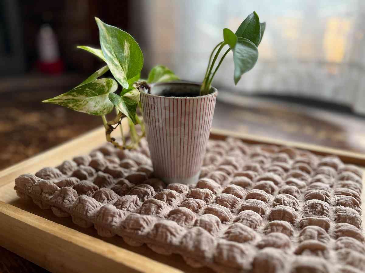 重さのある観葉植物は倒れにくい