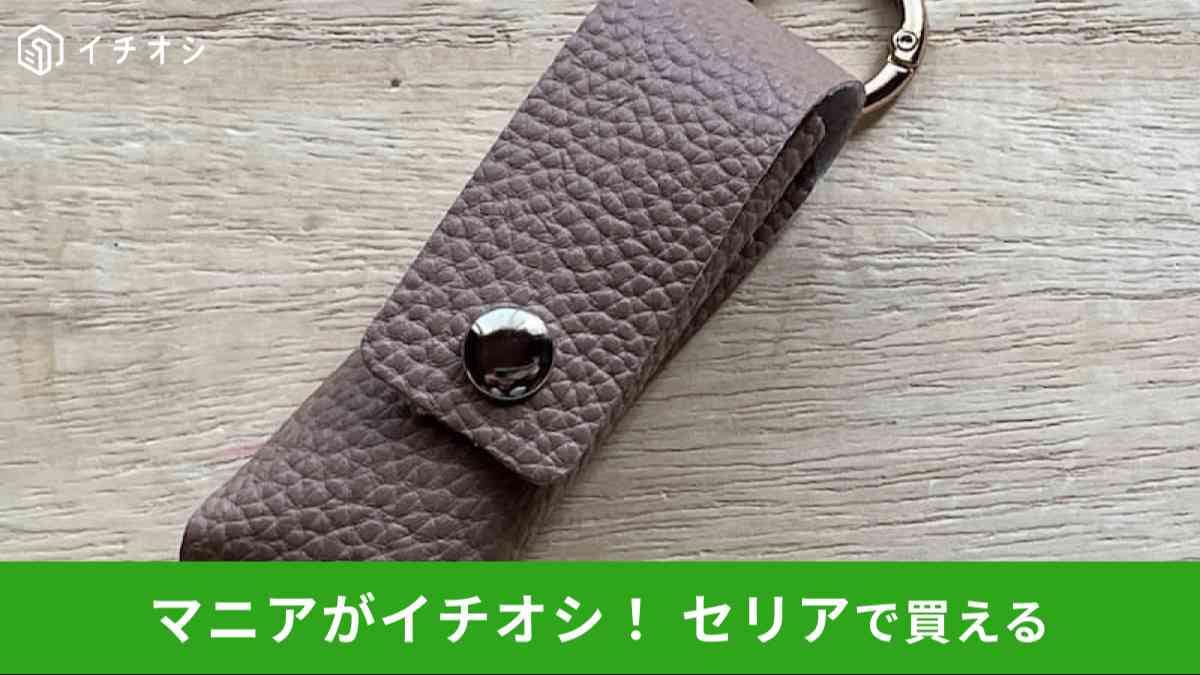 セリアの「カラビナ付きリップケース」