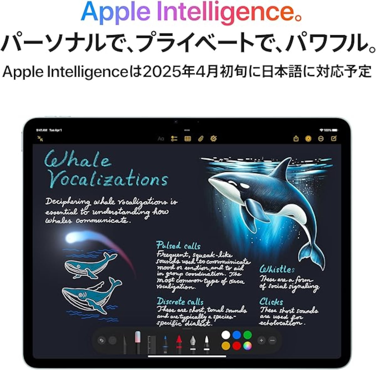 出典:Amazon