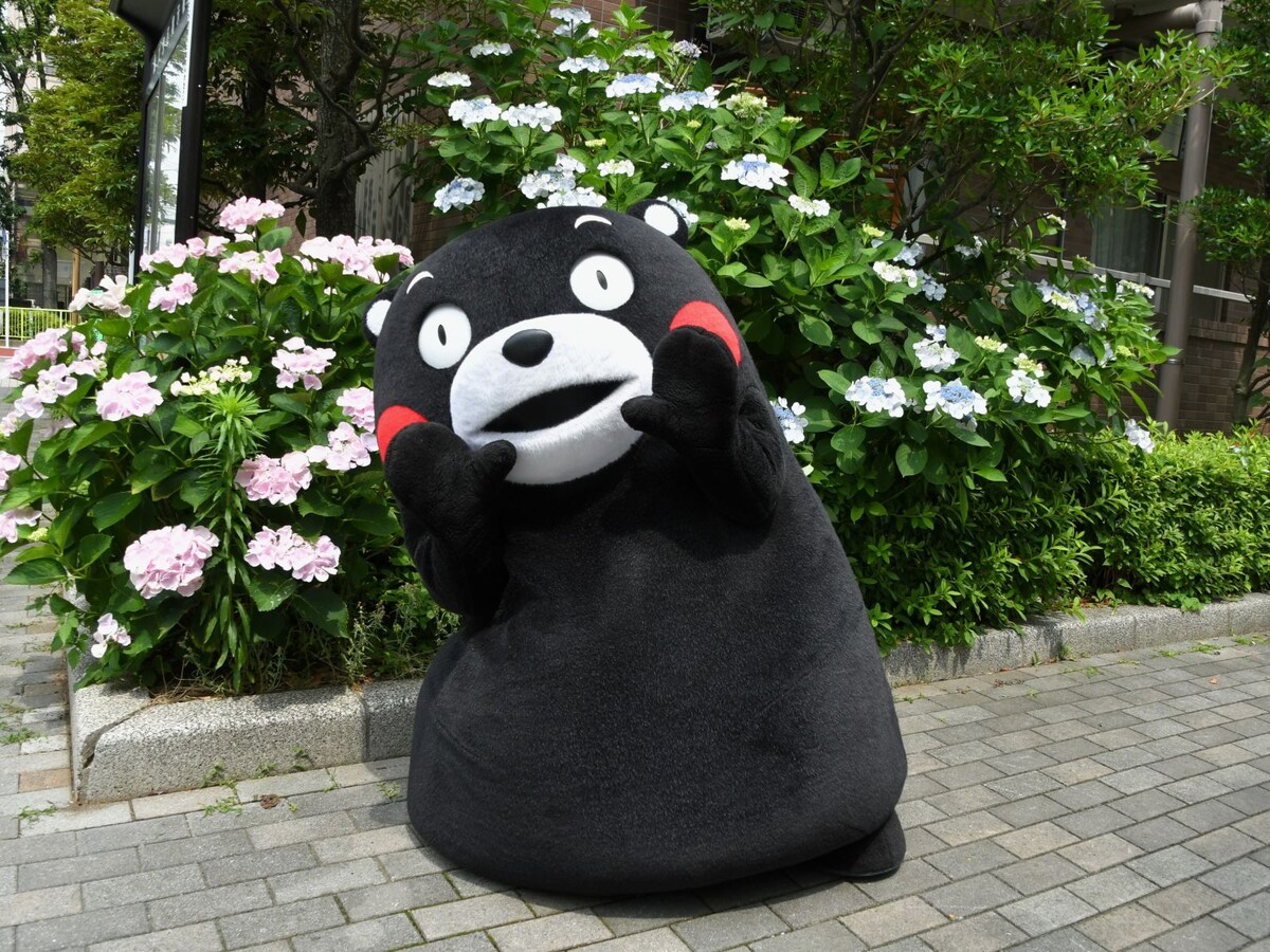 あじさいよりかわいいボク＝6月13日、東京都文京区