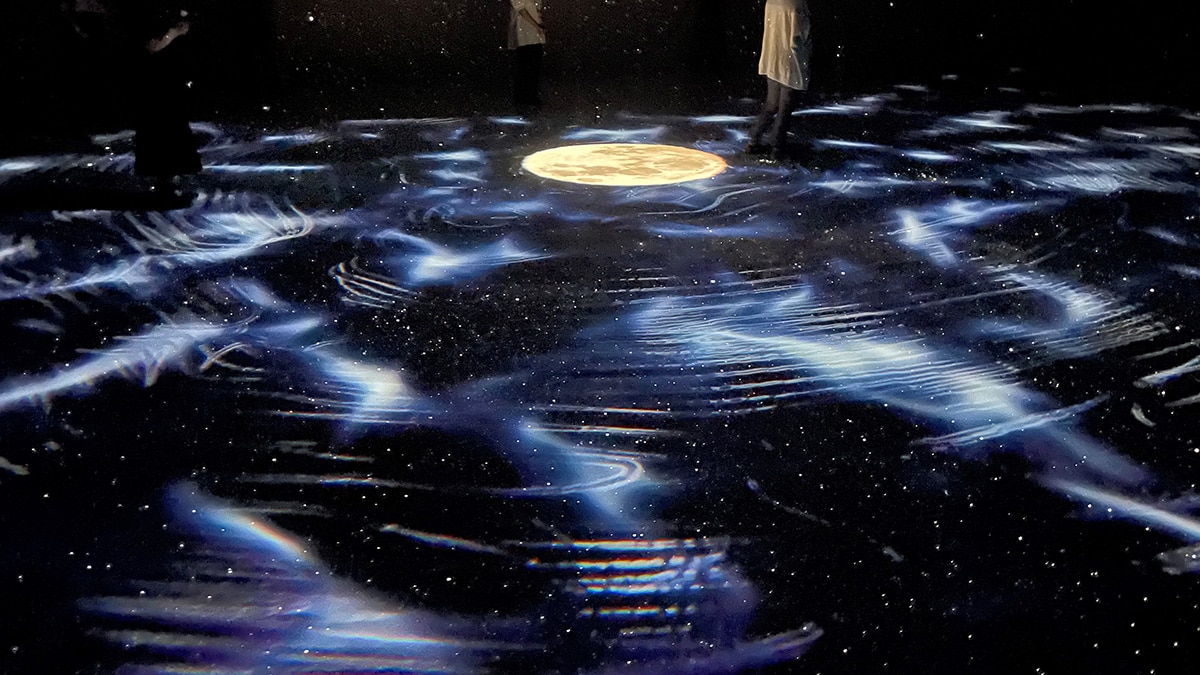 無数の星の中に「たたずむ」体験ができる（提供画像）