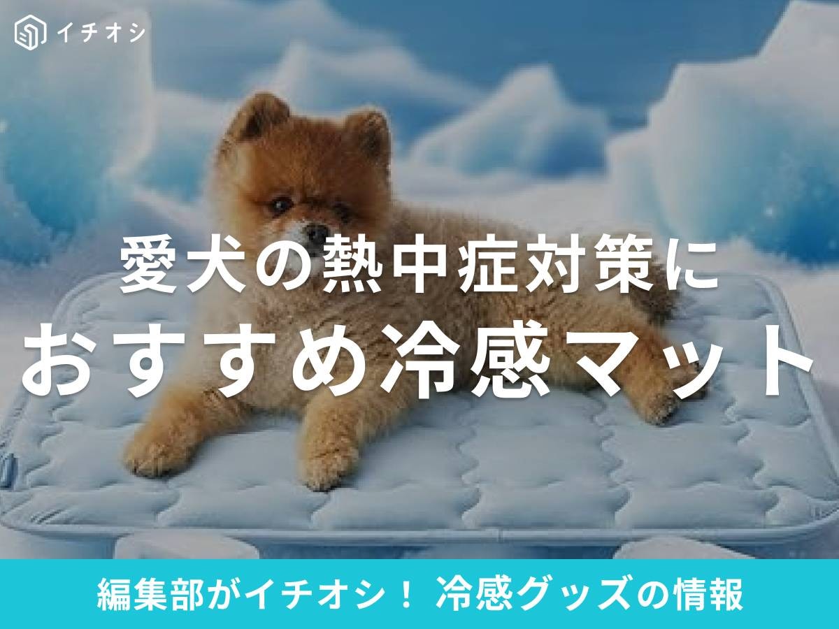 犬用「冷感マット」が夏の熱中症対策に◎