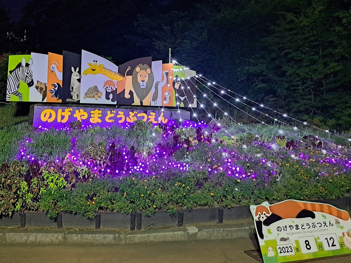 入口花壇にはイルミネーションが点灯。画像は過去の様子(提供画像)