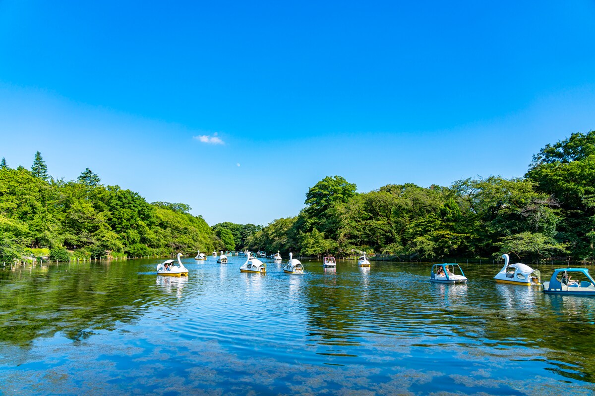 吉祥寺 井の頭恩賜公園の画像