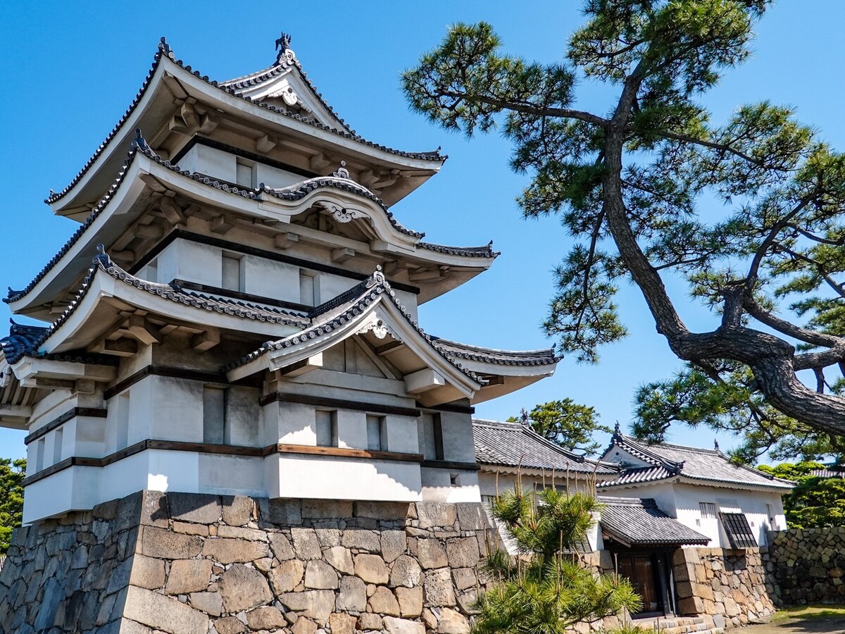 日本三大水城の1つの高松城 ※画像：PIXTA