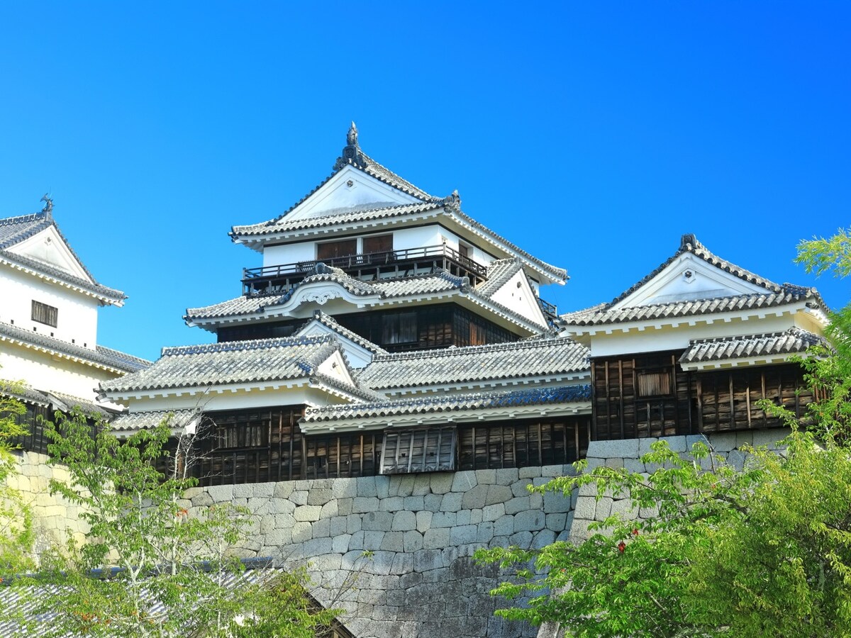 「日本100名城」の一つである松山城 ※画像：PIXTA