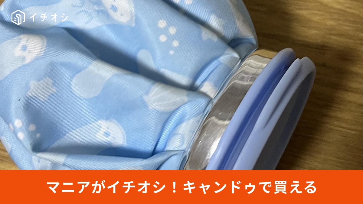 キャンドゥで買える「氷のう」が夏の冷感グッズにおすすめ！