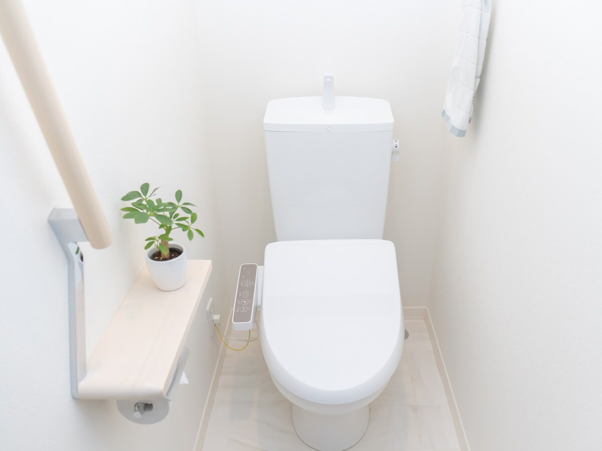 トイレの植物