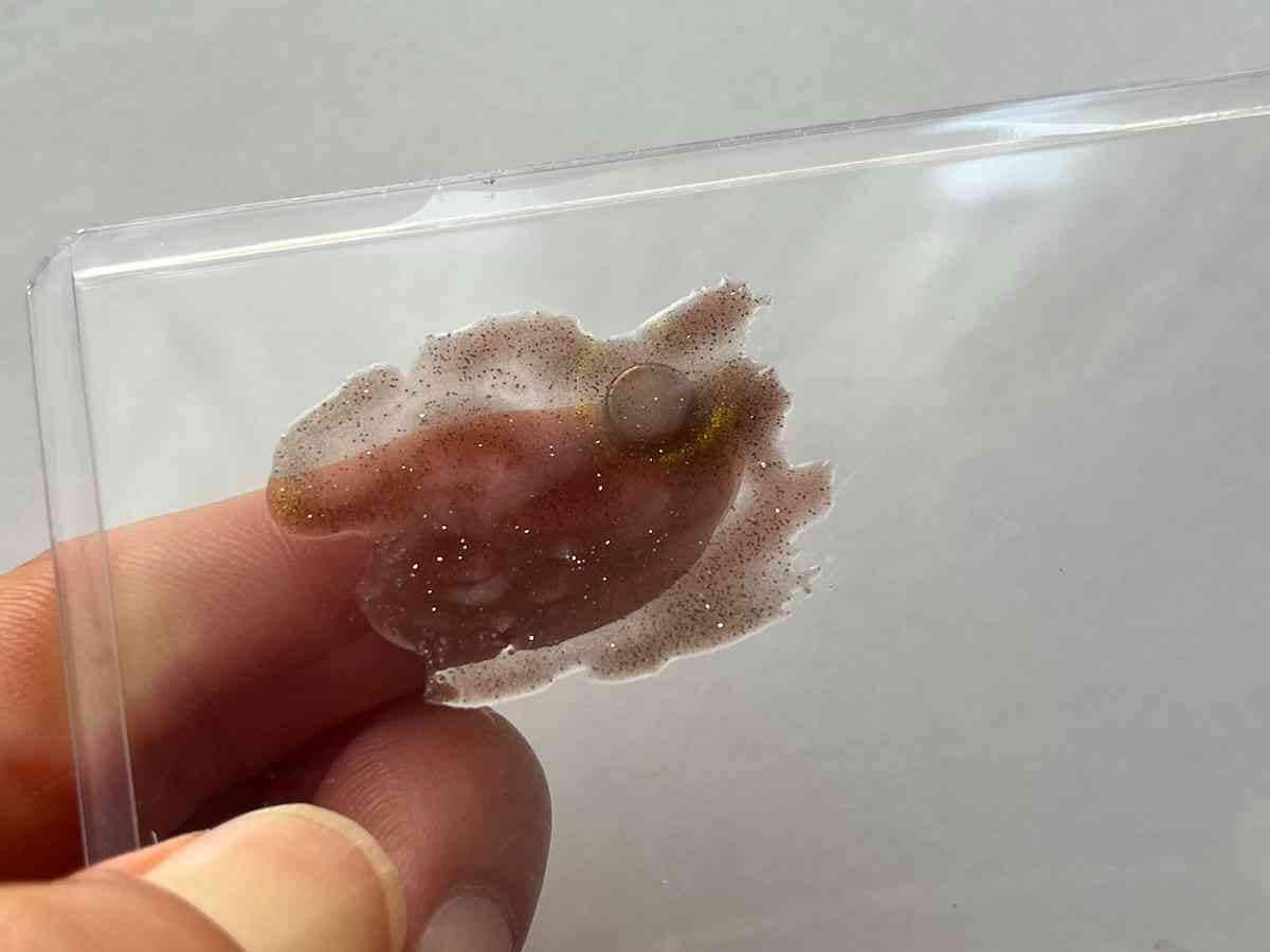 磁石の周りに円ができる
