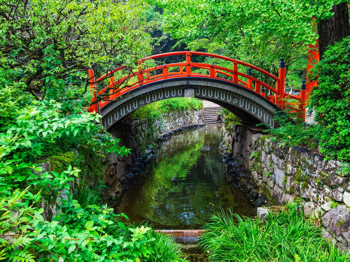  京都　下鴨神社　みたらし川の画像