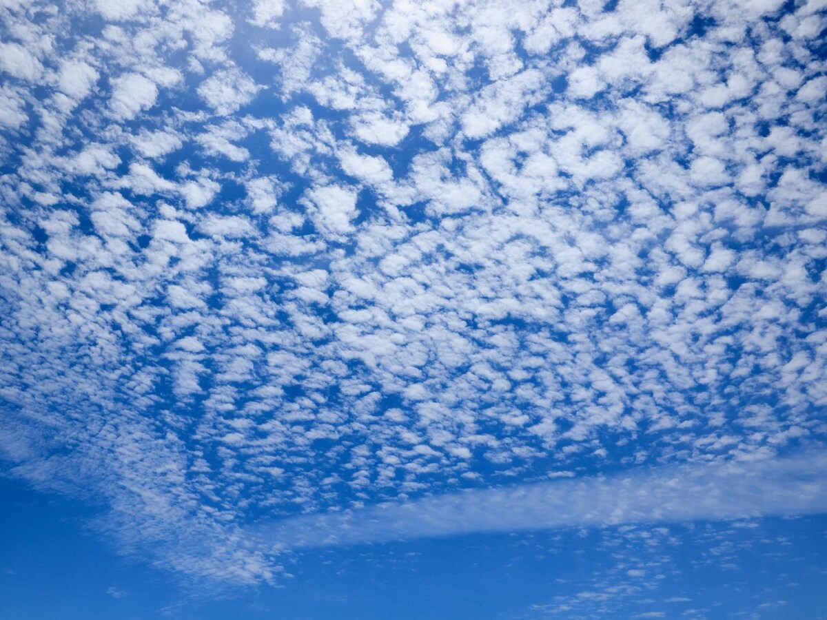 【うろこ雲】魚の鱗（うろこ）に似ている。高い空にできる巻積雲の1つ（画像出典：PIXTA）