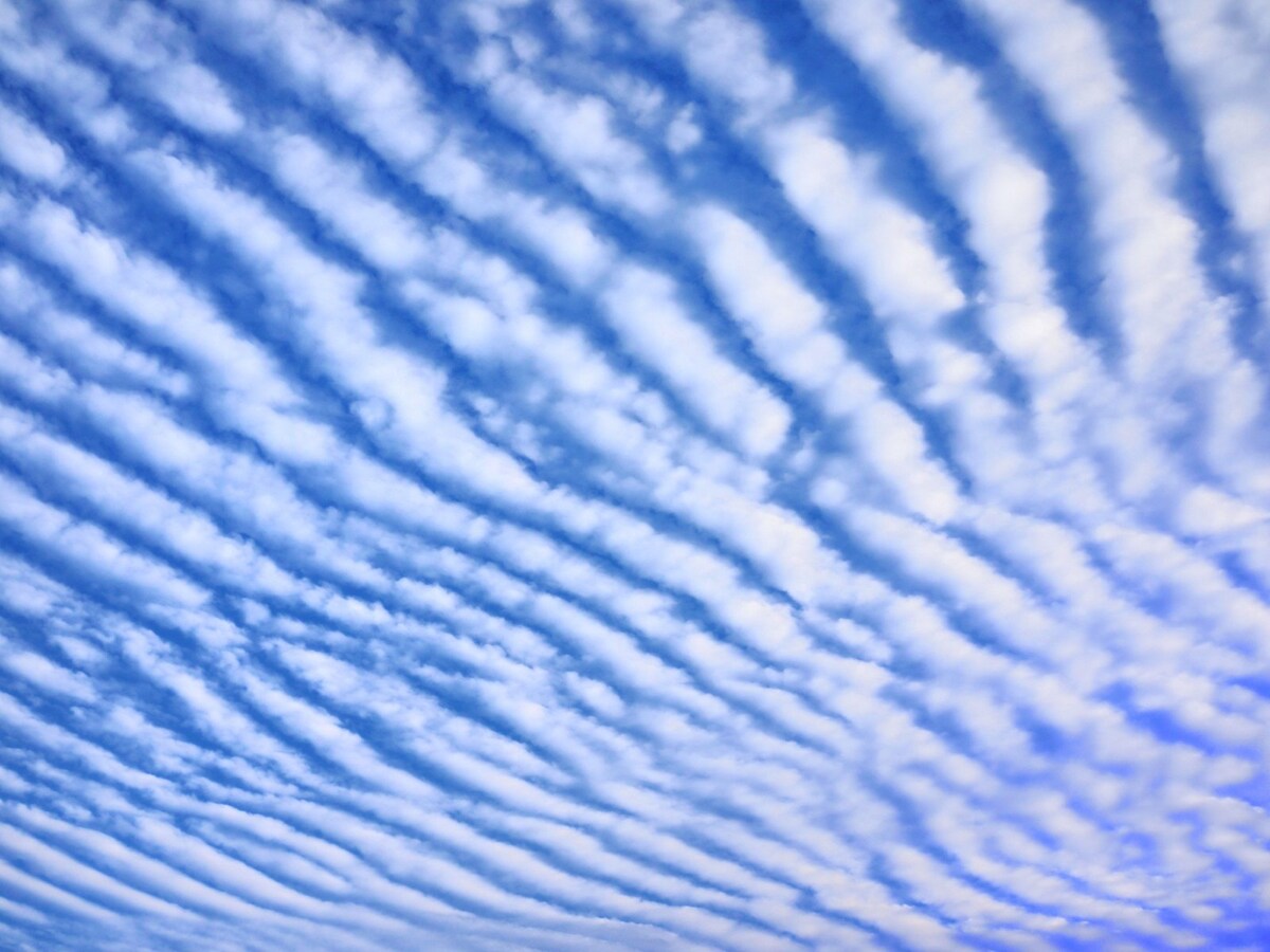 【さば雲】鯖の背の模様のようにみえる雲。高い空にできる巻積雲の1つ（画像出典：PIXTA）