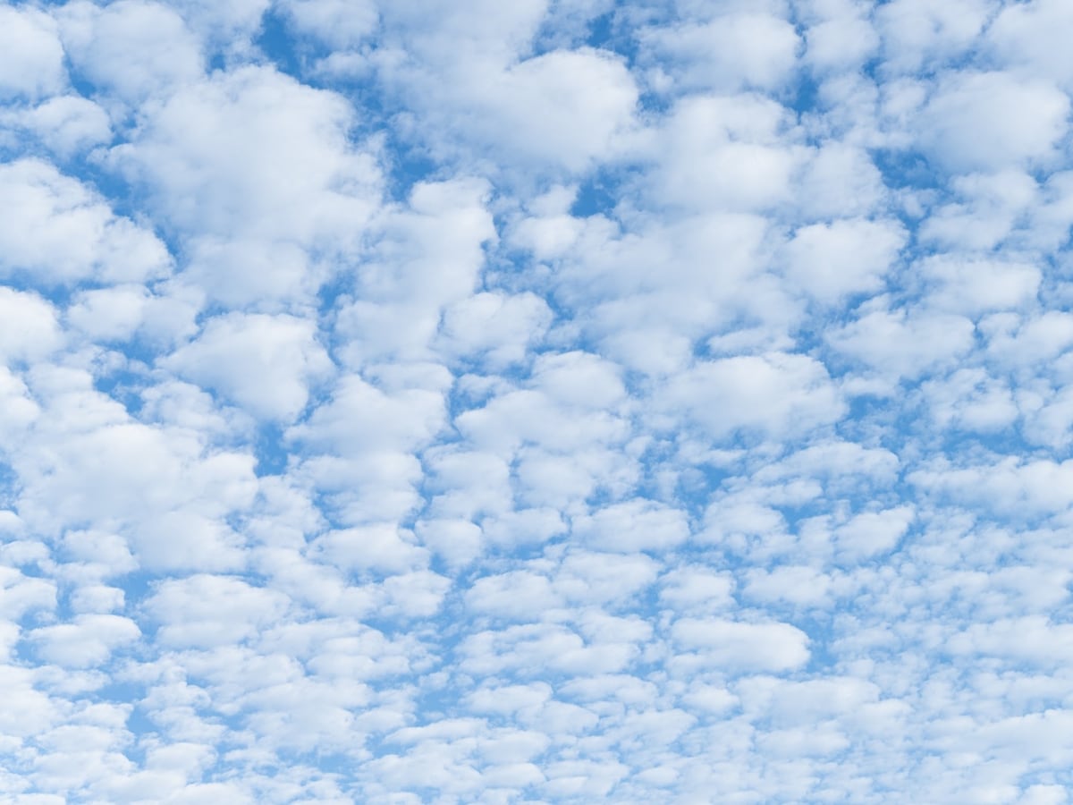 【ひつじ雲】羊の群れを思わせる雲で、うろこ雲より塊が大きい。中高度にできる高積雲（画像出典：PIXTA）
