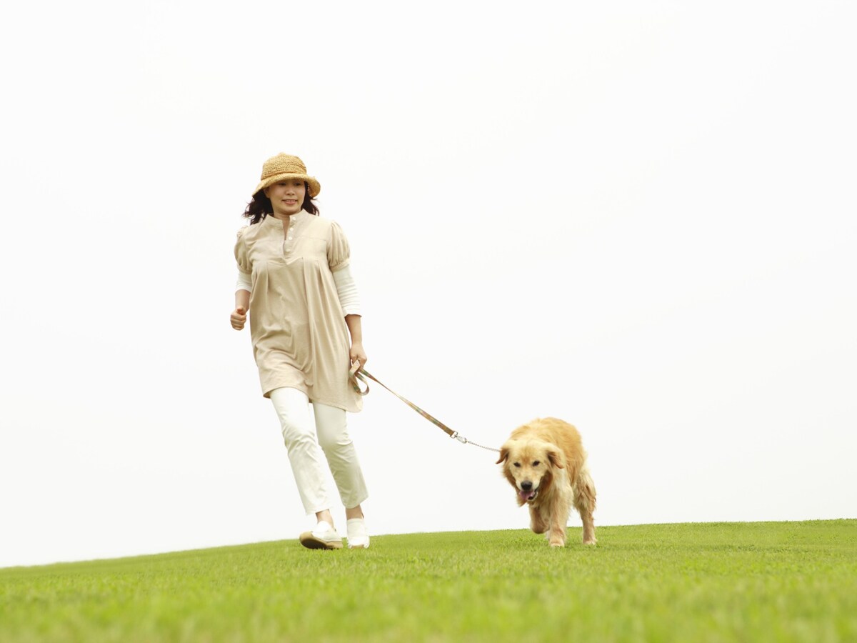 貯めすぎ注意？60歳でリタイアして気づく“お金以上に大切な3つのこと” ※画像：amanaimages