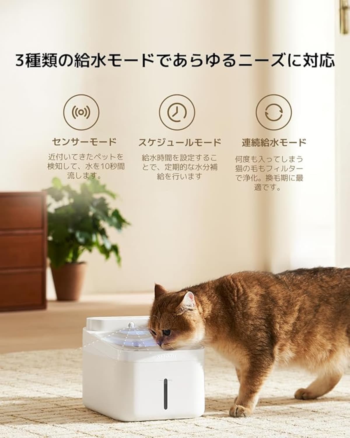 出典:Amazon