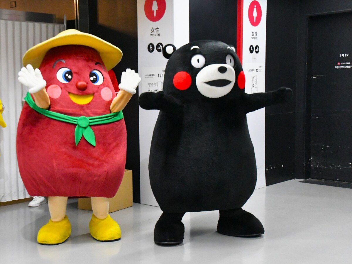 試合開始前の高揚感につつまれて＝9月1日、東京都文京区