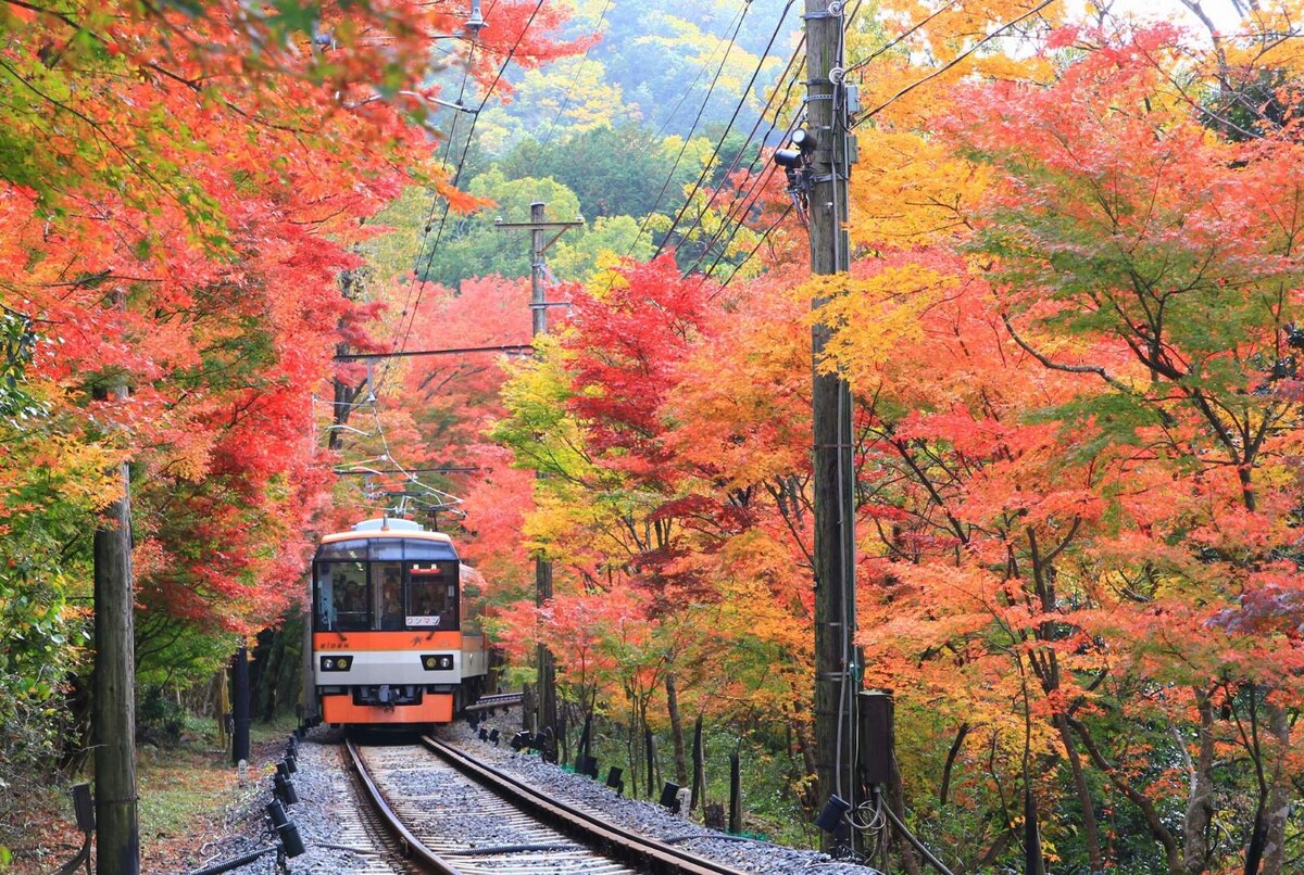 「もみじのトンネル」を走行する展望列車「きらら」 ※画像提供：叡山電鉄