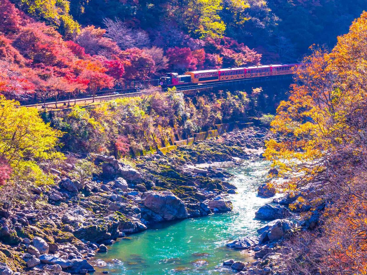 嵯峨野観光鉄道 ※画像：PIXTA