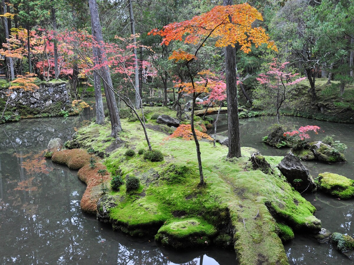 西芳寺の画像