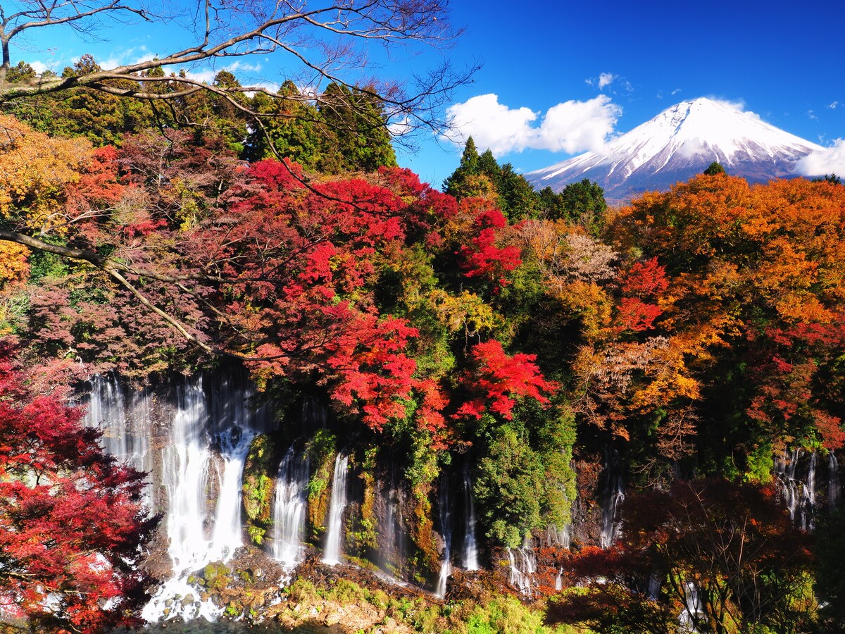 紅葉の白糸ノ滝と富士山の画像