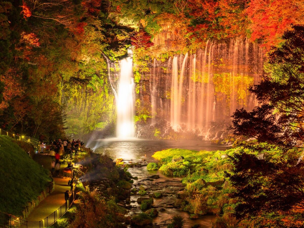 幻想的な秋の「白糸ノ滝」ライトアップは出会えたら本当にラッキー！ ※画像：PIXTA